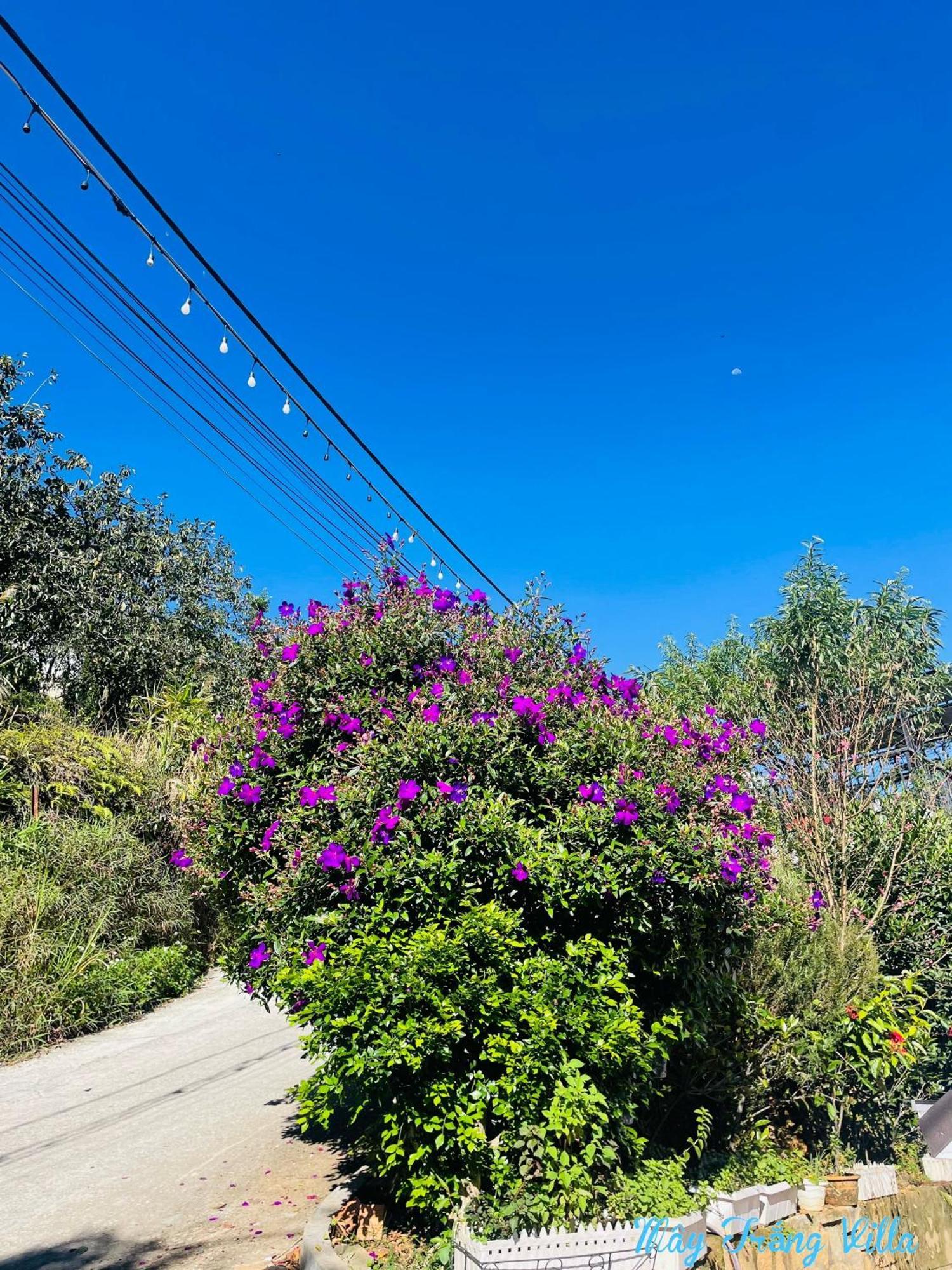 May Trang Villa Dalat Luaran gambar